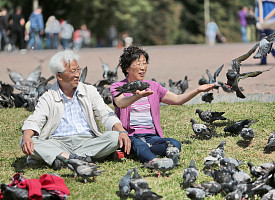 Туристы из КНР составляют треть посещающих Троице-Сергиевой лавры